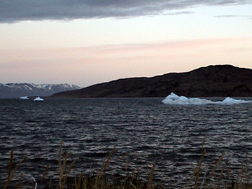 dsc00142.jpg
